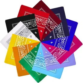Blulu 12 Pack Unisex Paisley Bandanas Bulk Cowboy Bandanas Head Wrap Scarf Wristband for Men Women Bachelorette Party