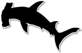 Hammerhead Shark Vinyl Sticker - Car Phone Helmet Bumper Sticker Decal